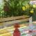 Appartements Popovic-Risan, (STD) - Studio apartman br.1, Privatunterkunft im Ort Risan, Montenegro - Terasa pogled na more 1